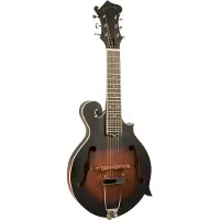 Gold tone F-6 elektrische mando-guitar, met koffer