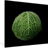 PosterMonkey Fotolijst incl. Poster - Een kool op een zwarte achtergrond - 40x40 cm - Posterlijst