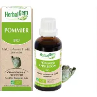 Herbalgem Appelboom Bio | 30 ml