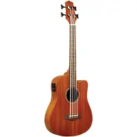Gold tone M-BASS Microbass met gigbag