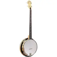Gold tone CC-PLECTRUM Cripple Creek Plectrum Banjo