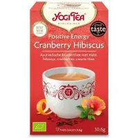Yogi tea 6x Biologische Thee Positive Energy 17 stuks