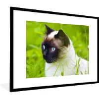 PosterMonkey Fotolijst incl. Poster - Siamese kat tussen het gras - 80x60 cm - Posterlijst
