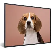 PosterMonkey Fotolijst incl. Poster - Een schattige Beagle kijkt in de camera - 80x60 cm - Posterlijst