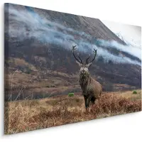 Karo-art Schilderij - Hert in de Bergen, premium Print