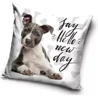 Procos Hond - Say Hello New Day - Sierkussenhoes - 40 x 40 cm