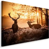 Karo-art Schilderij - 2 Herten in de Ochtendzon, Premium Print