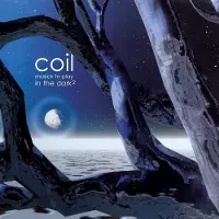 Modulor Cnt Coil - Musick To Play In The Dark² (CD)