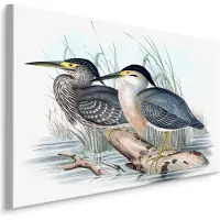 Karo-art Schilderij - 2 Vogels in het water, Print op Canvas, Premium Print