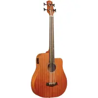 Gold tone M-BASS25/FL fretloze Microbass met gigbag