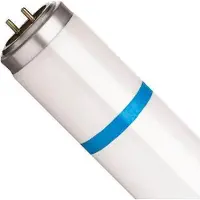 Philips Lamp Uv-A 18W"24 Bl368 Shatterproof