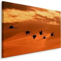 Karo-art Schilderij - Kraanvogels bij Zonsondergang, Premium Print