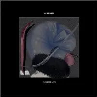 Konkurrent Ian Drennan - Flower Of Love (LP)