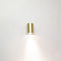 Artdelight Gouden Downlighter Roulo1