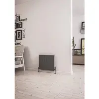 Eastbrook Addington type 10 radiator 30x60cm 281W staal antraciet