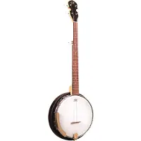 Gold tone Ac-5 5-St Reso Ac.Comp.Banjo+Bag