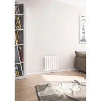 Eastbrook Addington type 10 radiator 35x60cm 351W staal wit glans