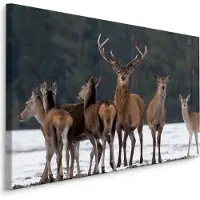 Karo-art Schilderij - Het en Hinde in de Sneeuw, Premium Print, 5 maten