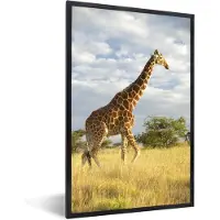 PosterMonkey Fotolijst incl. Poster - Giraffe - Lucht - Gras - 80x120 cm - Posterlijst