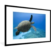 PosterMonkey Fotolijst incl. Poster - Groene zwemmende schildpad fotoprint - 120x80 cm - Posterlijst