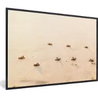 PosterMonkey Fotolijst incl. Poster - Baby schildpadden fotoprint - 120x80 cm - Posterlijst