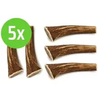Beeztees Hertengewei - Hondensnack - 1st - S - ca 60 gram - 5 stuks