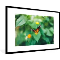 PosterMonkey Fotolijst incl. Poster - Vlinder op bloem - 120x80 cm - Posterlijst