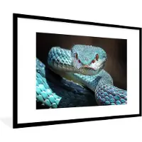 PosterMonkey Fotolijst incl. Poster - Blauwe slang met indringende blik - 120x80 cm - Posterlijst
