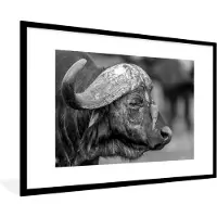 PosterMonkey Fotolijst incl. Poster Zwart Wit- Roodsnavelossenpikker op een buffel - zwart wit - 120x80 cm - Posterlijst
