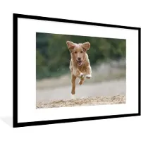 PosterMonkey Fotolijst incl. Poster - Rennende hond foto - 120x80 cm - Posterlijst