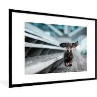 PosterMonkey Fotolijst incl. Poster - Hond rennend over tribune - 120x80 cm - Posterlijst