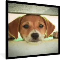 PosterMonkey Fotolijst incl. Poster - Een puppy kijkt door een hek heen - 40x40 cm - Posterlijst