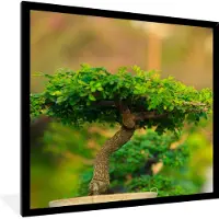 PosterMonkey Fotolijst incl. Poster - Bonsai bomen in een rij - 40x40 cm - Posterlijst