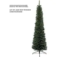Molecule Everlands 680059 Pencil Pine - 120 cm