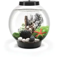 Oase 71999 biOrb CLASSIC 15 LED schwarz Aquarium Energielabel: G (A - G) 15 l Met LED-verlichting
