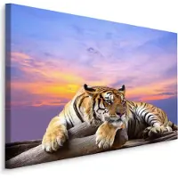 Karo-art Schilderij - Rustende Tijger, Premium Print, 5 maten