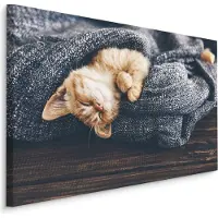 Karo-art Schilderij - Kitten in diepe Slaap, Premium Print, 5 maten