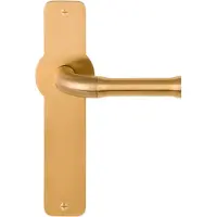 Formani | Cilinderrozet | EVBY52 | Rond | PVD mat goud