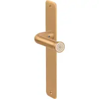 Formani Edward van Vliet NOUR EV101P211SFC op schild blind - PVD mat goud