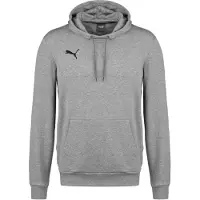 Puma Teamgoal 23 Causals Hoodie Grijs S Man