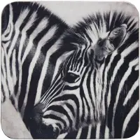 Mars & More Onderzetters - zebra -