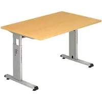 Hjh OFFICE PRO MEGA 12 S - 120x80 Beuken/Zilver Tafelhoogte I In hoogte verstelbaar