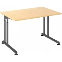 Hjh OFFICE PRO ZENO 12 G | 120x80 - 120x80 Tafelhoogte I In hoogte verstelbaar Esdoorn/Grafiet