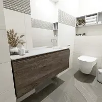 Mondiaz OLAN 120cm toiletmeubel dark brown. LEX wastafel talc rechts geen kraangat