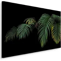 Karo-art Schilderij - Tropische palmbladeren zwarte achtergrond, premium print