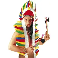 Finidi Carnavalsartikelen: Kleurrijke Indianentooi lengte160cm