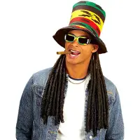 Finidi Carnavalsartikelen Rasta hoge hoed met dreadlocks