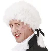 Finidi Carnavalsaccessoires: Mozart pruik of Mozart Kugel