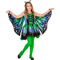 Widmann Leuk vlinder kostuum blauw groen voor kinderen