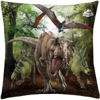 MCU Sierkussen - 40 x 40 cm - Groen